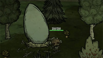 Moose/Goose laying eggs in spring.