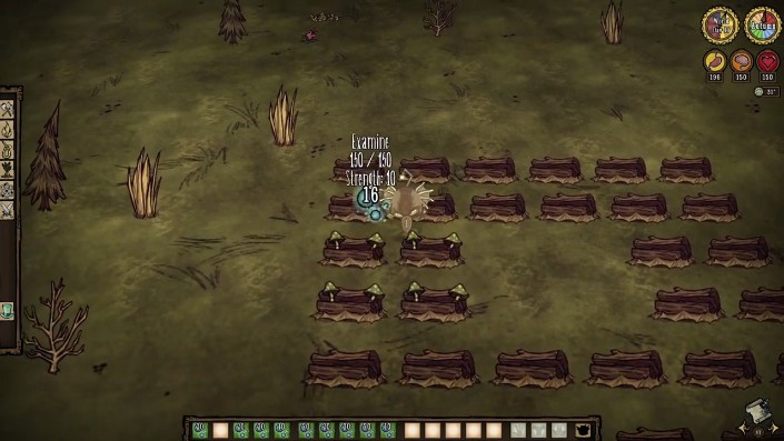 A Mushroom Planter in action, showing mushrooms growing